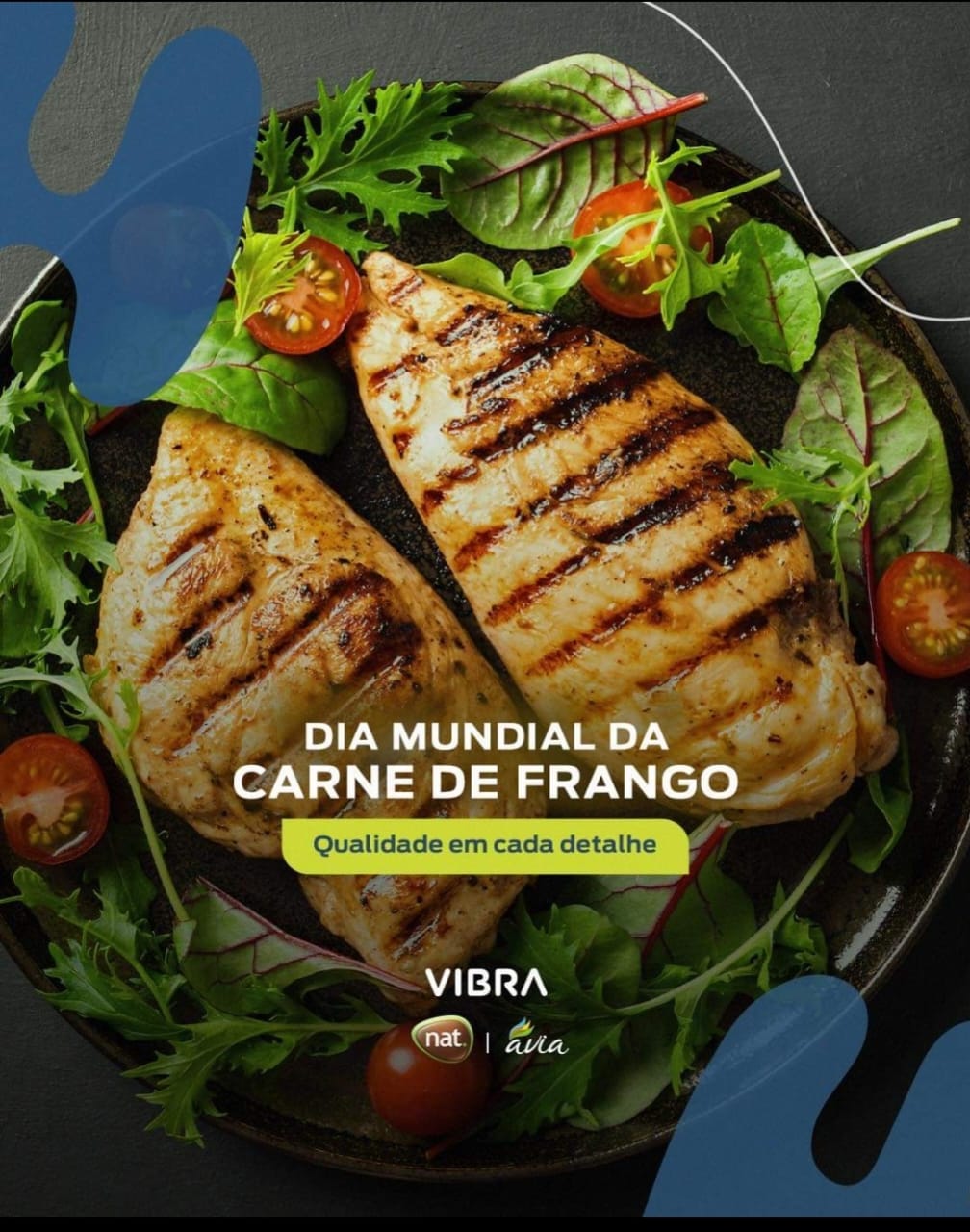 Vibra Agroindustrial S/A